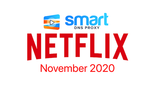 Netflix in November 2020 – all premieres and shows leaving the platform